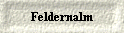  Feldernalm 