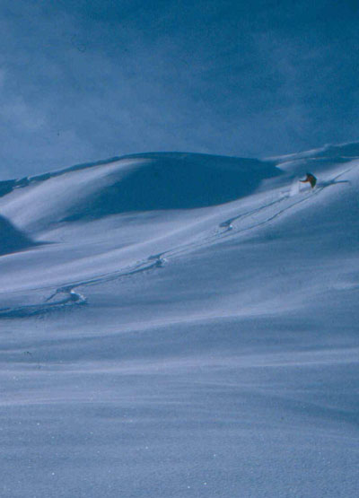 Buidl 05tannheimabaus2