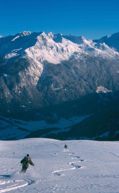 Buidl 04einshornab vohiKl